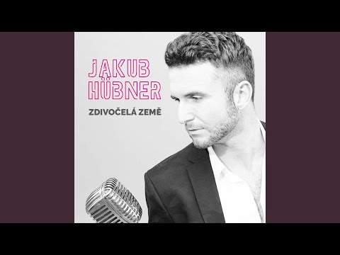 Zdivočelá země