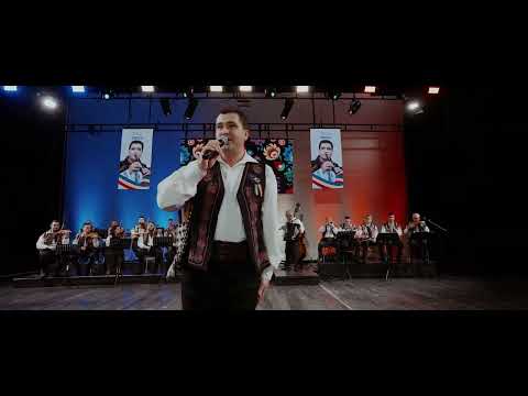 Gelu Voicu - Pusei caii la căruță