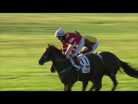 13. 10. 2019 - 8. dostih -  129. Velká pardubická se Slavia pojišťovnou