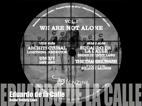 Fanzine Records 006  - We Are Not Alone Vol.1