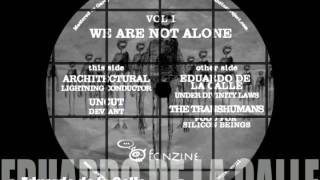 Fanzine Records 006  - We Are Not Alone Vol.1