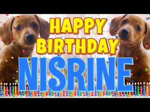 Happy Birthday Nisrine! ( Funny Talking Dogs ) What Is Free On My Birthday