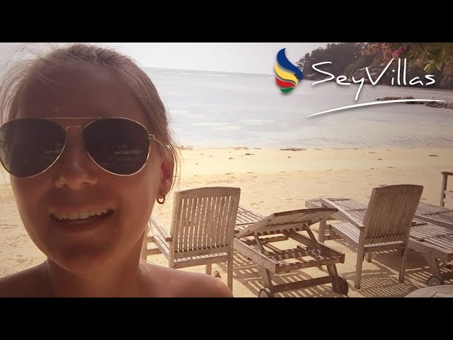 Video - Image - Trip ins Paradies VOL. II