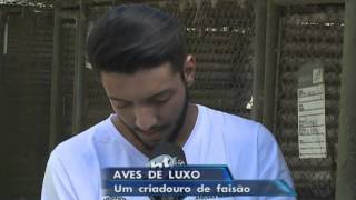 Miniatura do vídeo