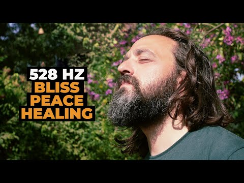 [528Hz] 8 Hours of Pure Bliss and Healing Wisdom
