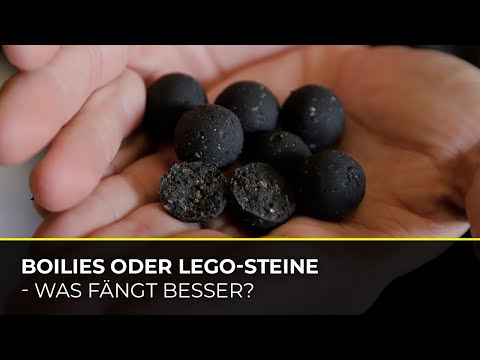 Boilies oder Legosteine - Was fängt besser? | Bernd Hahne | Cockbaits | Karpfenköder | Fischmehl