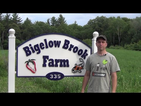 アクアポニック温室 - 資金調達 (The Aquaponic Greenhouse - Funding)