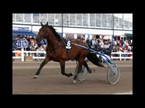 Pronostic quinté Vincennes (R1) le 06 Février 2017 ( Prix de la Chartre-sur-le-Loir)