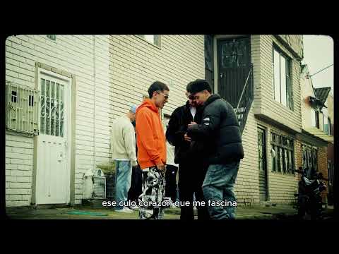 ENROLAR XQ SI // PM LIT FT ROYS CARTIER, KIDDRAINNY  (BXL) VISUALIZER