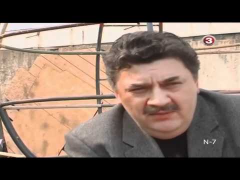 Šinkūnų šeima, Almantas, Jautrė, Paulius ir Kamilė