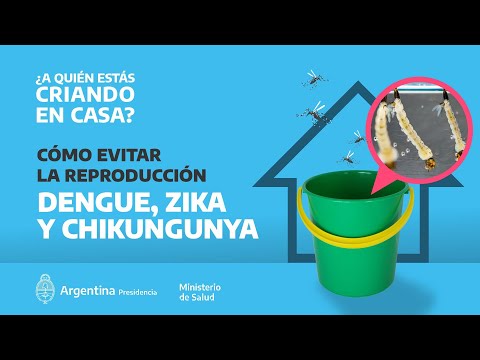 ¿Cómo evitar la reproducción del Dengue?