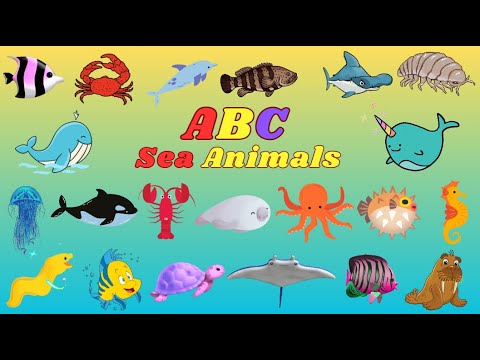 ABC Sea Animals 🐠🐙🐳 | Alphabet Animals Song for Kids 8TH525 | Kids TV