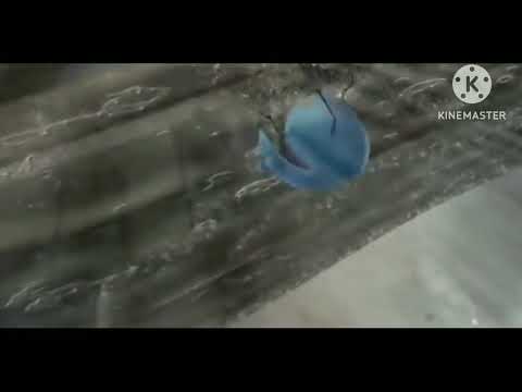 Erky Perky Underwater scene (DO NOT BLOCK THIS)