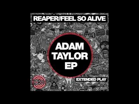 Leigh Green, Adam Taylor - Feel So Alive (Original Mix) [Cheeky Tracks]