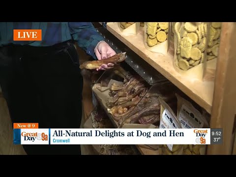 Dog and Hen - YouTube