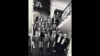 Luboff:  Much Ado About Nothings - Thirteen paradoxical pithy paraphrases for punaccompanied pchoir