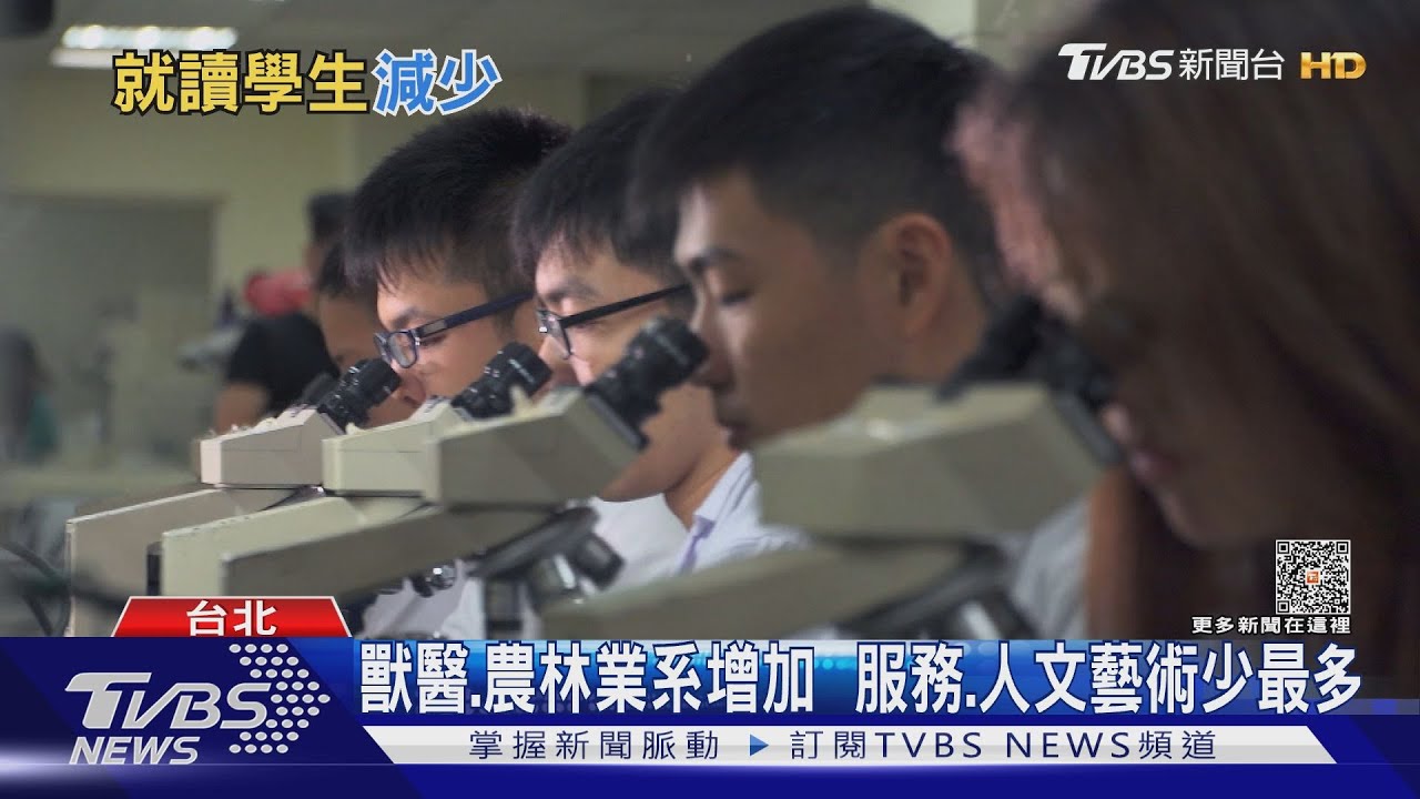 少子化衝擊 大專院校「這個科系」畢業人數少最多