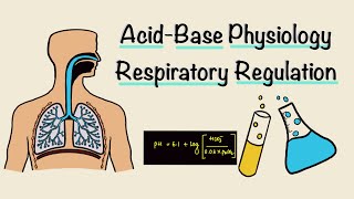 Acid Base Balance: Respiratory Regulation