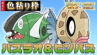 【ポケモンSV】色違い探し!!バスラオ＆ヒンバス【ポケモン】