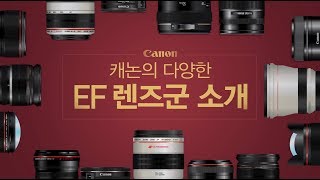 동영상 썸네일