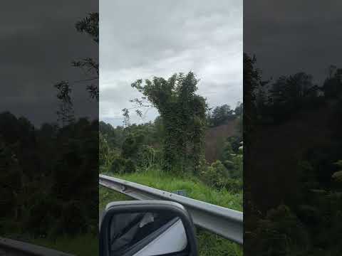 Las Fincas Y sus Lindas Vistas de Santiago Putumayo Colombia #travel #travesia #nature #meditation