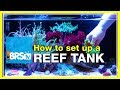 20 Gallon Saltwater Aquarium Starter Kit