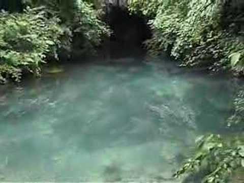 Zlatko Savic - Spunje dajko