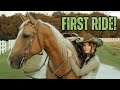 FIRST RIDE On My NEW HORSE