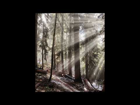 [FREE] guardin, midwest emo, dnb type beat | "grove"