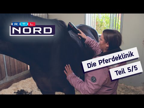 The Horse Clinic Part 5: Wellness and state-of-the-art technology for horses