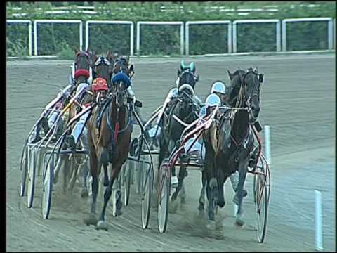 Trotto 09/09/2016 - 7° corsa