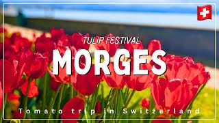 【スイス】春の風物詩・モルジュのチューリップ祭り🌷｜オードリー・ヘップバーンが愛したトロシュナ村へ｜Travel Vlog