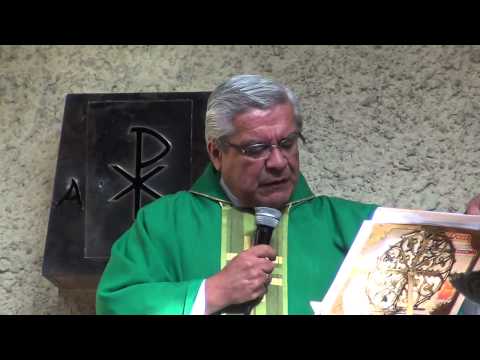 Homilía 12 de agosto 2012. Las dificultades de la vida y la necesidad de la Eucaristía.