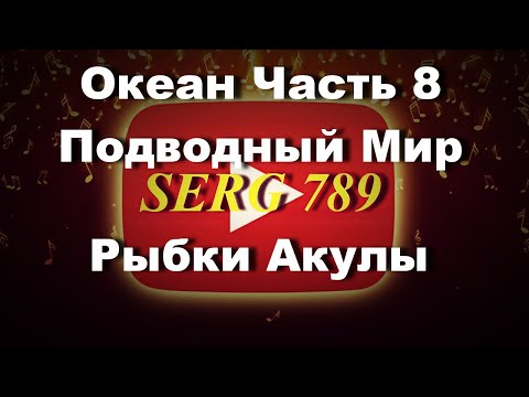 🔴 ☝Океан Подводный Мир(Часть 8)✅ 🙂 👍