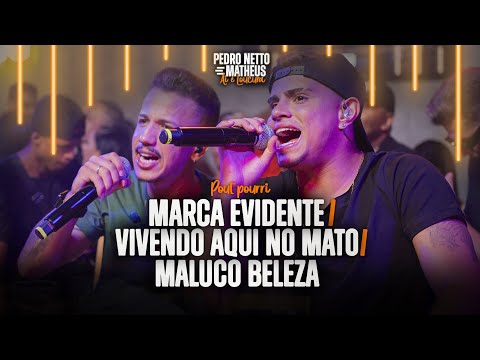 Marca evidente/ Vivendo aqui no mato/Maluco beleza - Pedro Netto e Matheus