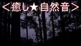 ＜癒し★自然音＞虫の鳴き声⑭【No.14】虫が鳴く静かな夏の夜【安らぎ・睡眠・勉強】