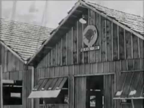 História documentário  da música   e tradição  Gaúcha - Paixão  Cortês