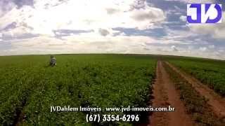 preview picture of video 'Fazenda em Primavera do Leste (MT) com 16.250 hectares (Ref. 681)'