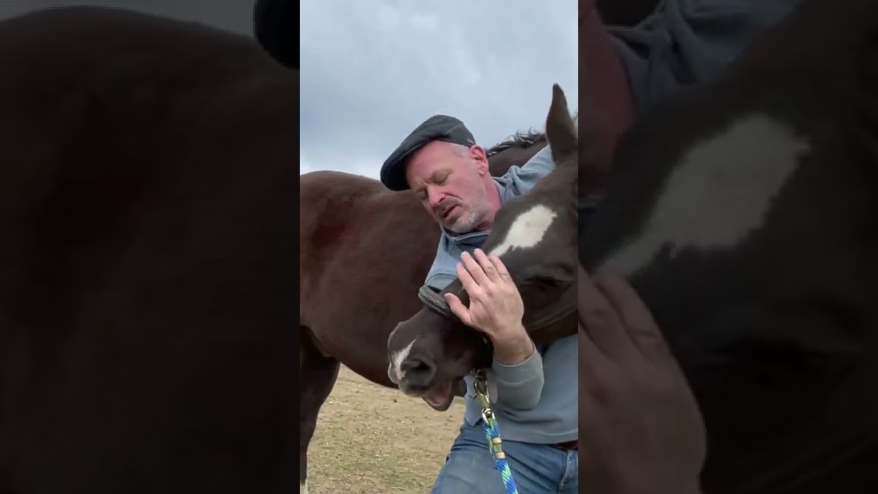 HORSE IN PAIN 😱 CAN'T LOWER HEAD! 🐴  Animal Chiropractor