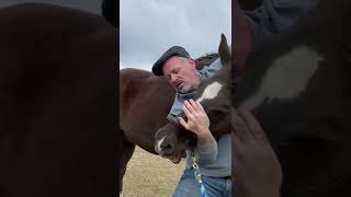 HORSE IN PAIN 😱 CAN&#39;T LOWER HEAD! 🐴  Animal Chiropractor
