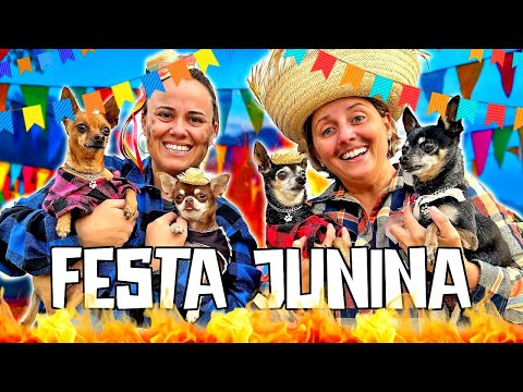 NOSSA FESTA JUNINA COM NOSSOS CACHORROS! ❤️