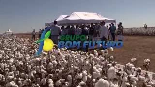 Dia de Campo do Algodão - 2016
