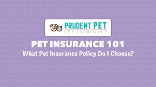 What Pet Insurance Policy Do I Choose? | Prudent Pet