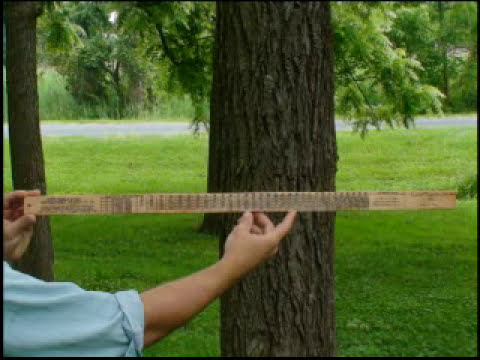 download lagu mp3 mp4 Biltmore Stick For Sale, download lagu Biltmore Stick For Sale gratis, unduh video klip Biltmore Stick For Sale