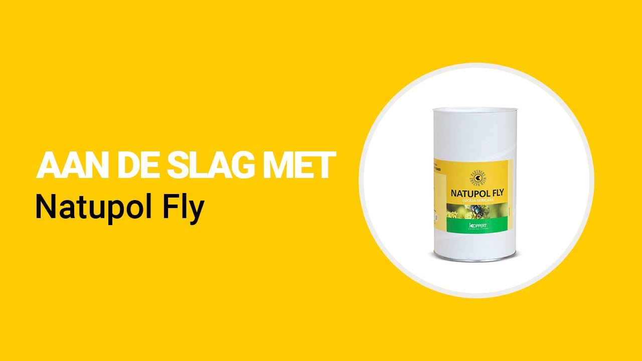 Video preview poster