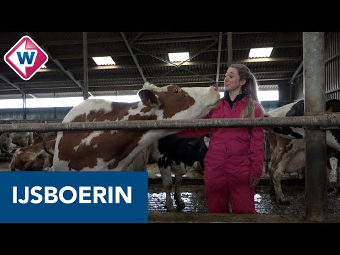 Dit is de ijsboerin van Stompwijk - OMROEP WEST