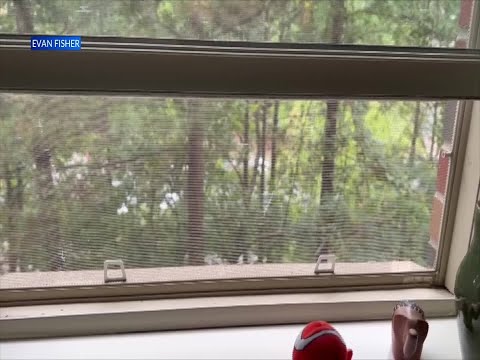 Sirens sound on UNC Chapel Hill's campus after the report of an armed person