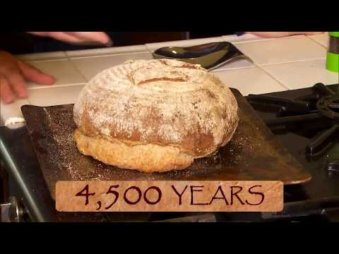 Buka e lashtë, u gatua në Egjipt me maja 4500-vjeçare