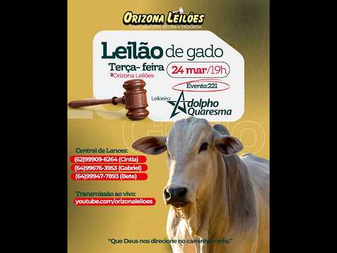 Orizona Leilões - 24/03/2026 I Leilão ao Vivo - Leilão em Goiás