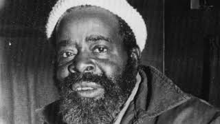 Jimmy Lee Williams - Hoot Your Belly Give Your Backbone Ease